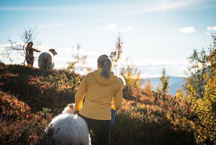 Nær mellomlagsjakke