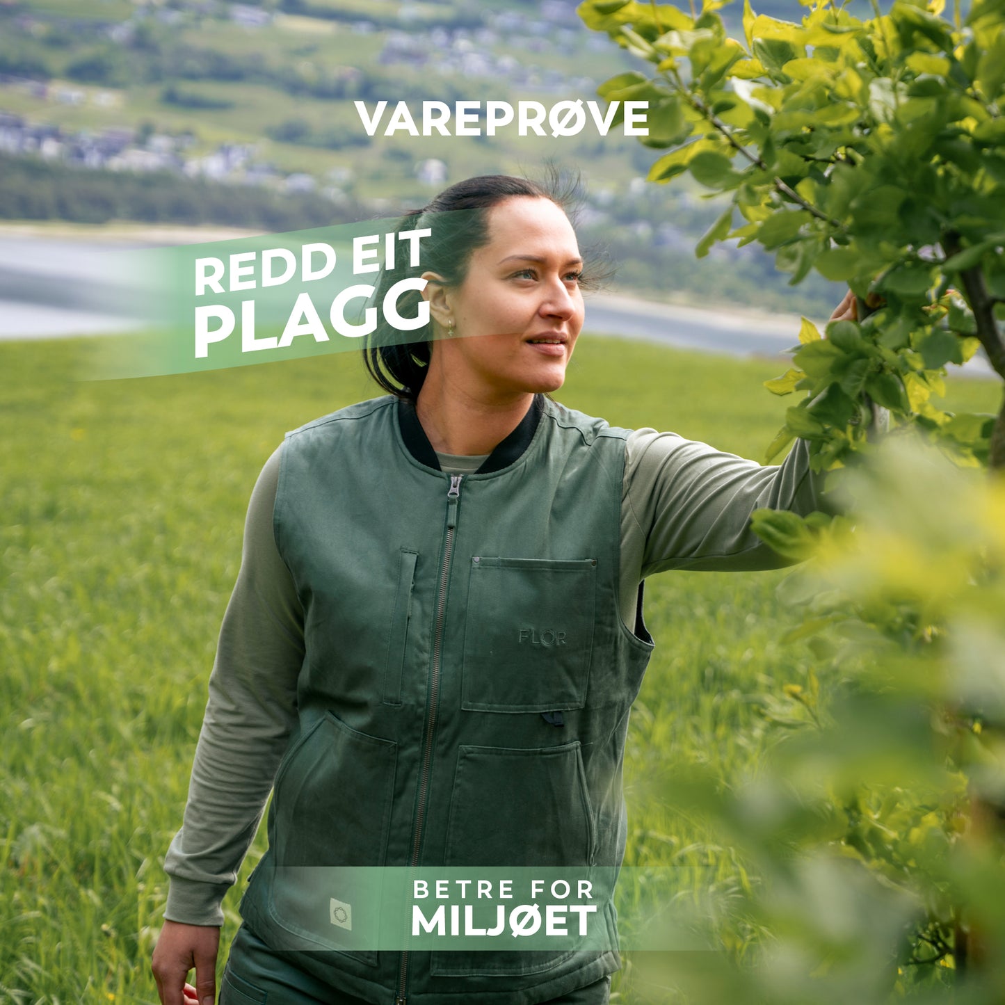 REP 25 - Sør vest Furugrønn M