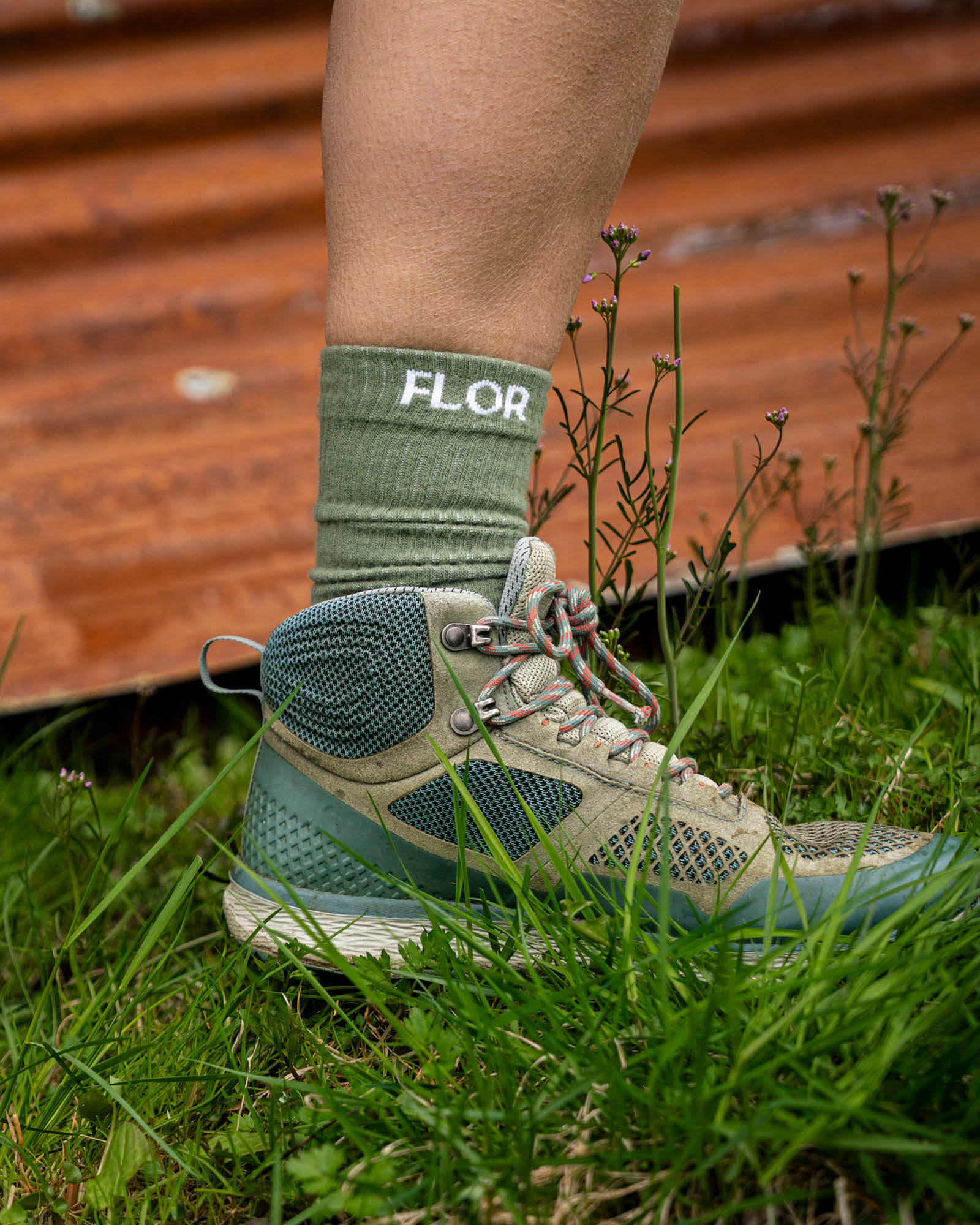Vår skrytesokk 2-pk - Sokker - Lys blå/Hvit | Flor - 3