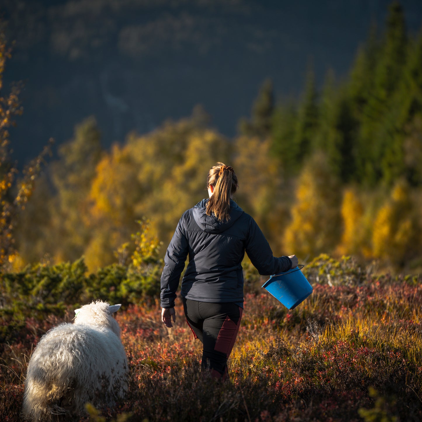 Nær mellomlagsjakke