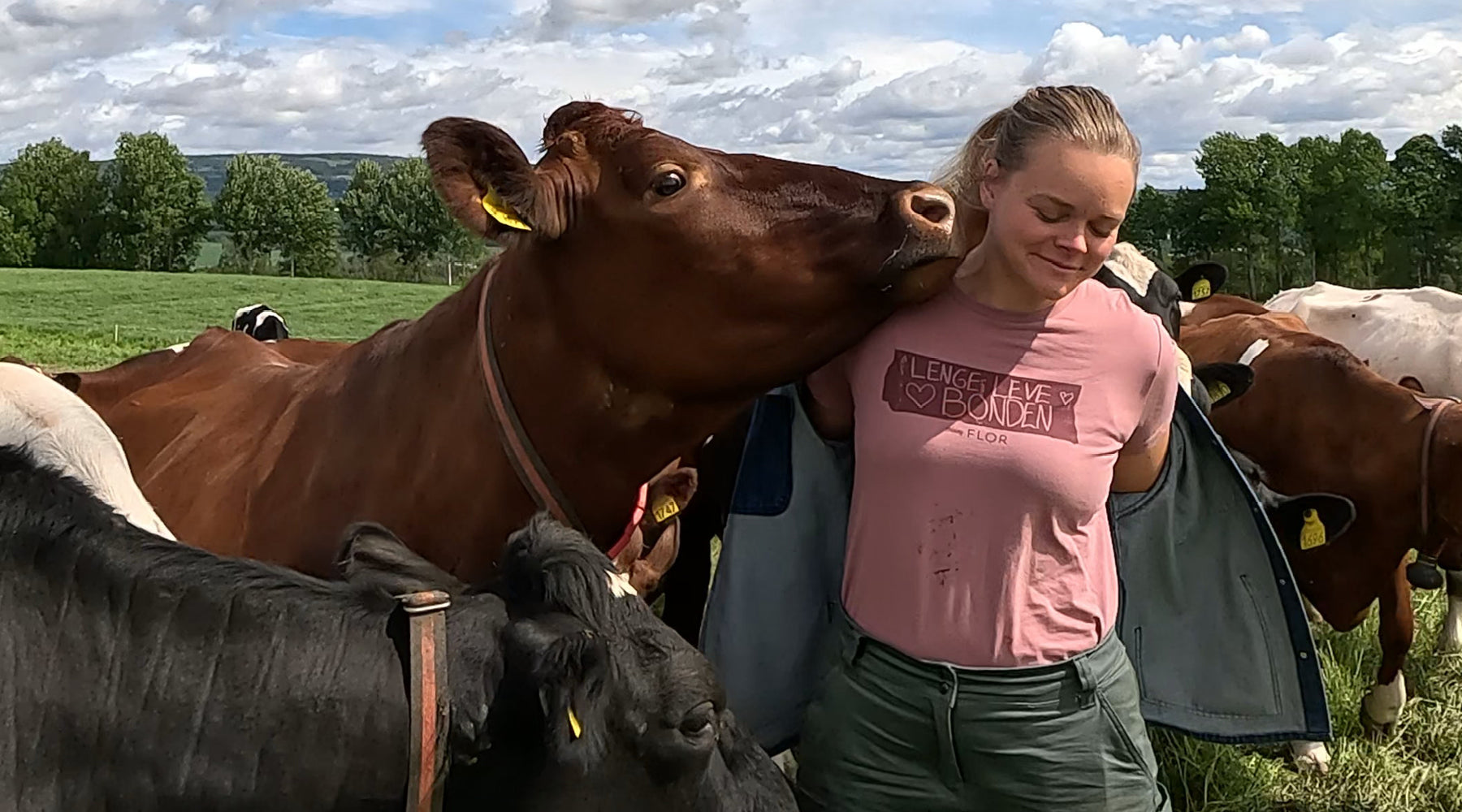 Nytt fjøs på gården!