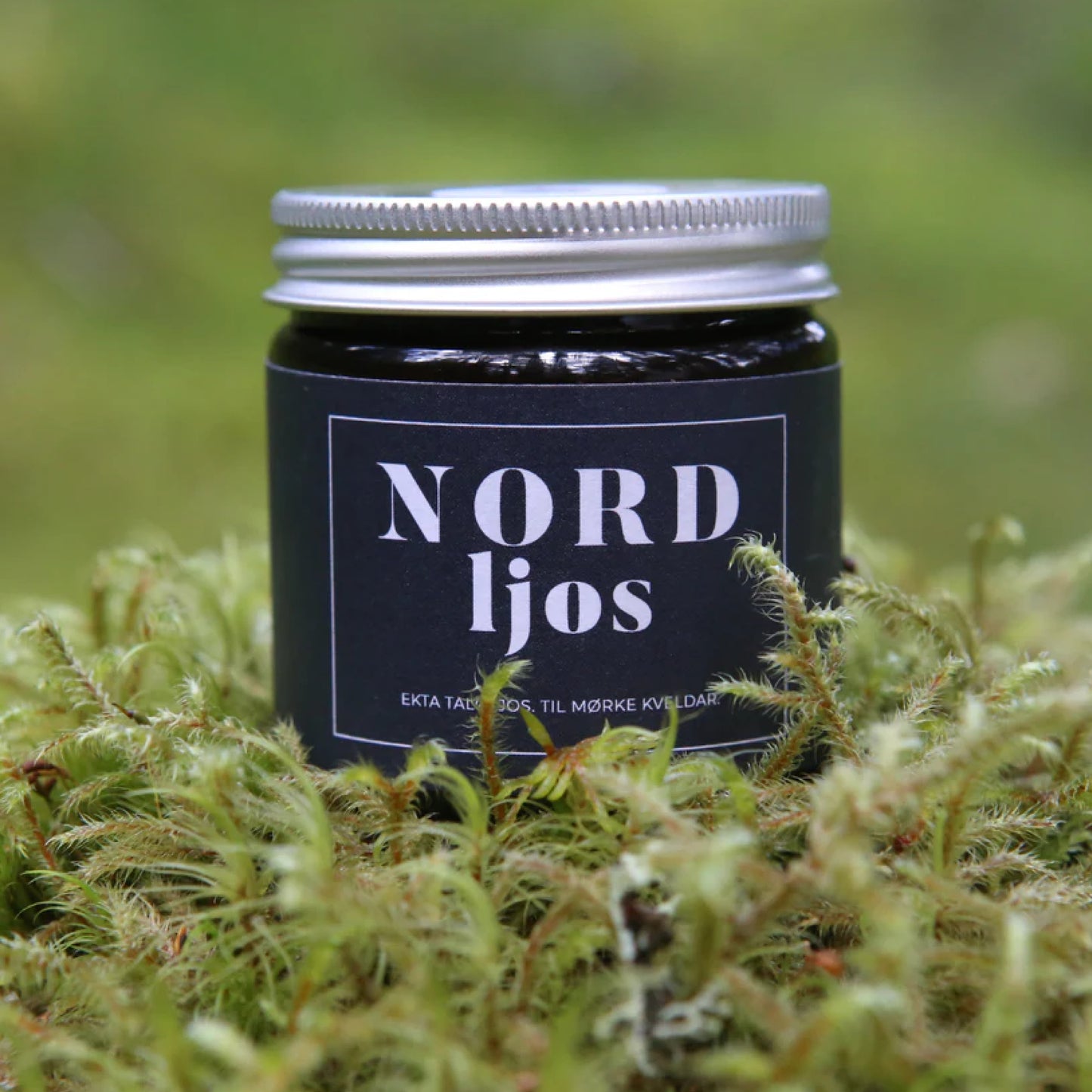 Symre talglys - Nordljos