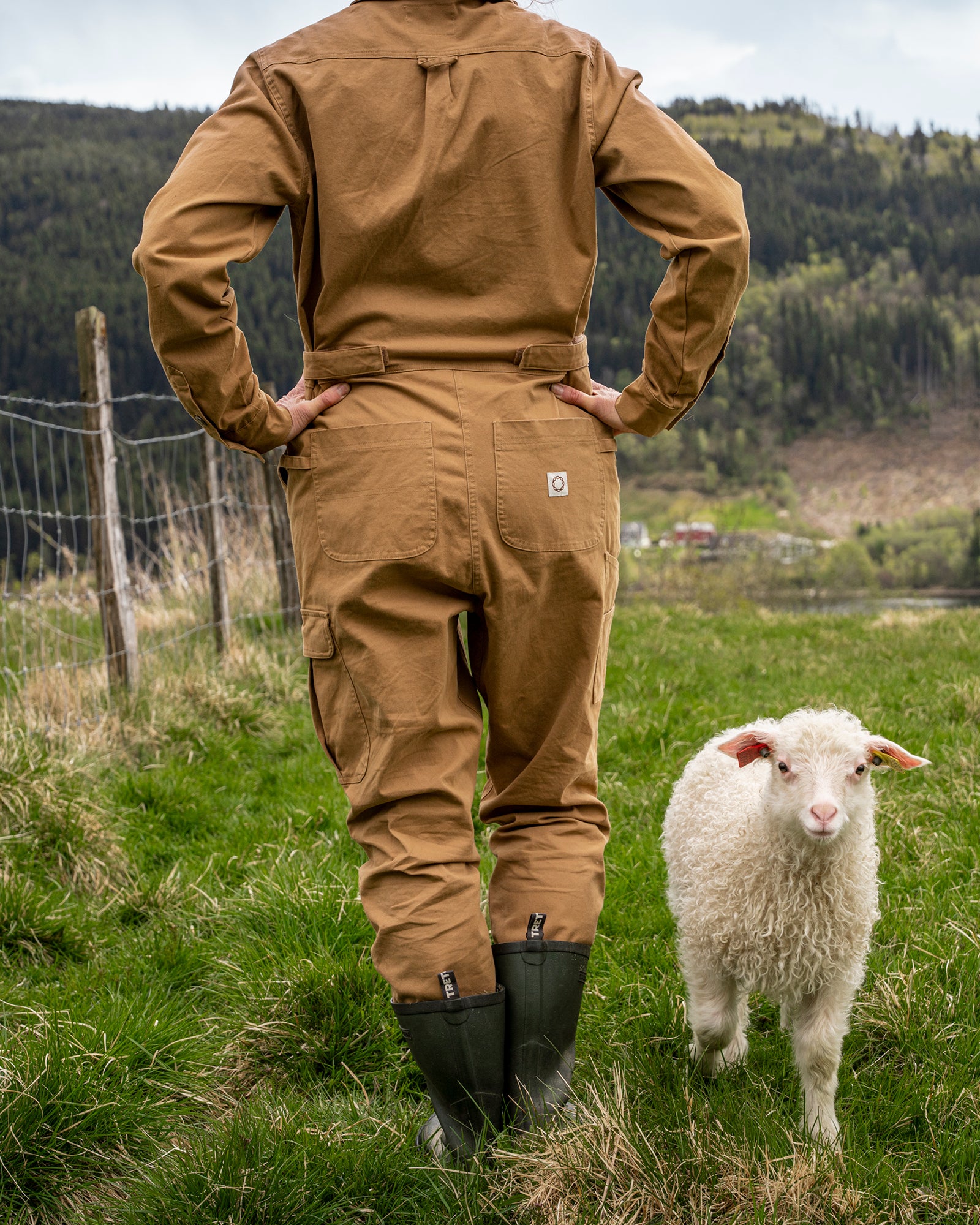 Kjeledress i bomull - Kjeledress - Mørk oliven | Flor - 3