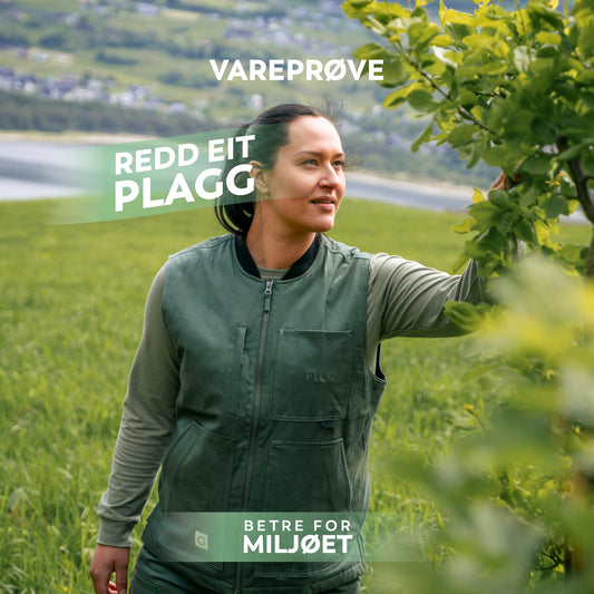 REP 25 - Sør vest Furugrønn M